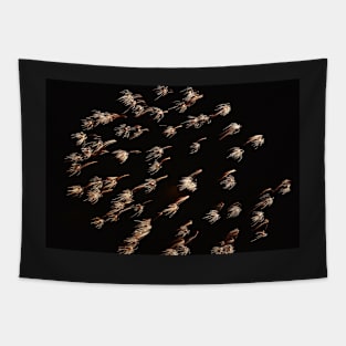 Dandelion shaped fireworks Tapestry