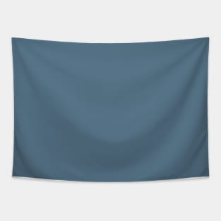 Stone Blue Plain Solid Color Tapestry