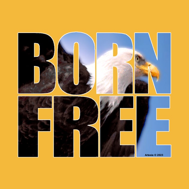 BORN FREE by jrolland