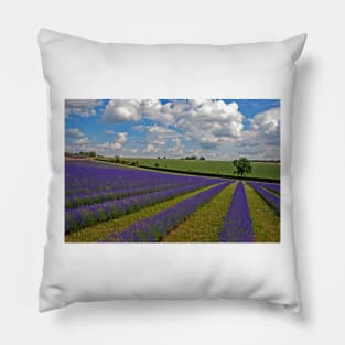 Lavender Field Purple Flowers Cotswolds England Pillow