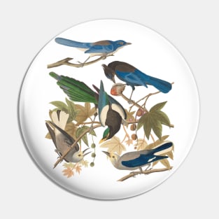 Birds of John James Audubon Pin