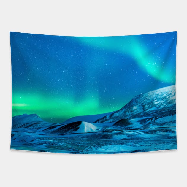 SCENERY 56 - Aurora Borealis Blue Night Sky Winter Tapestry by artvoria