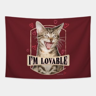 Lovable Tapestry