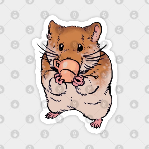 Mudwizard draws the cute hamster drinking from a doll house tea cup / funny animal meme Magnet by mudwizard