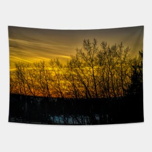 Sunsets in the West. Tapestry