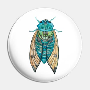 Cicada cicada Pin