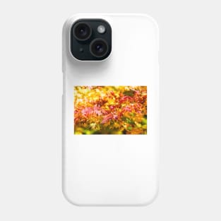 Maple tree red and orange autumn leafs Phone Case