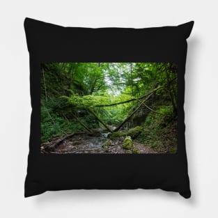 Wild landscape in a canyon Pillow