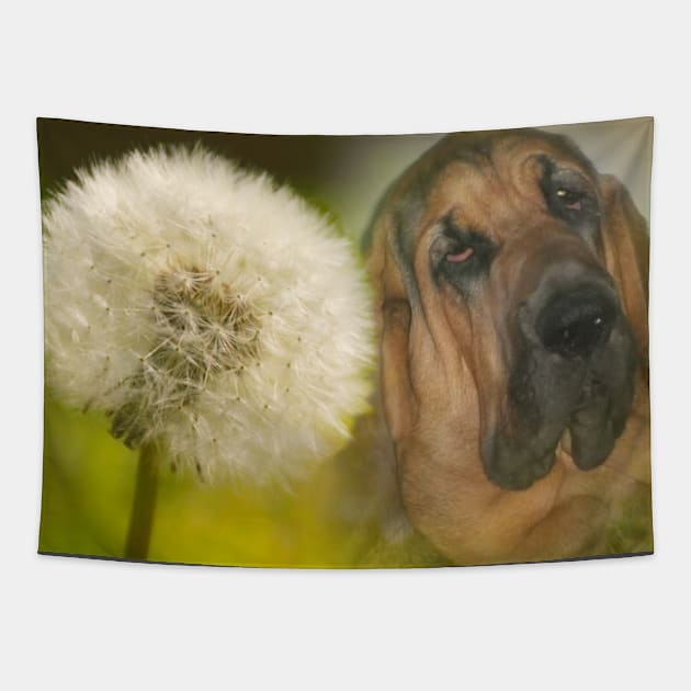 Bloodhound Dog Dandelion Tapestry by nounejm