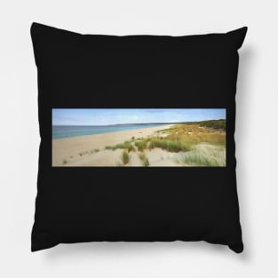 Antechamber Bay Pillow