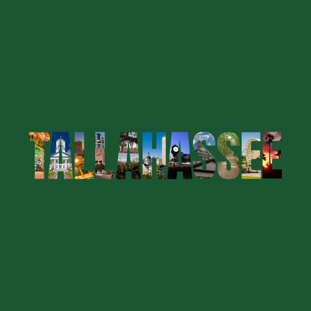 TALLAHASSEE by Ivy Lark - Write Your Life