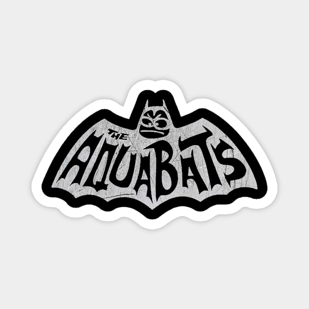 Aquabats \vintage Magnet by lineway