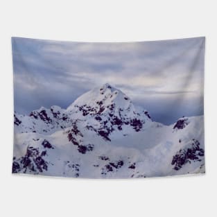 Snowy Mountain Tapestry