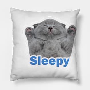 vintage-sleepy cat Pillow