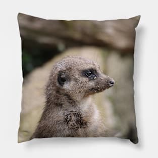 Meerkat 072 Pillow