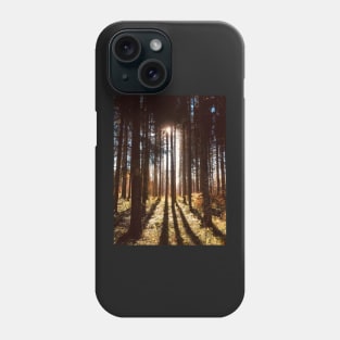 Sunlight filtering through trees Phone Case