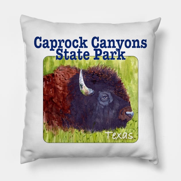 Caprock Canyons State Park & Trailway, Texas Pillow by MMcBuck