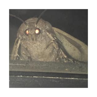 Moth meme T-Shirt