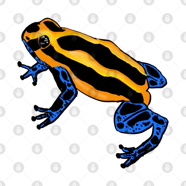 Poison Dart Frog by Veakari