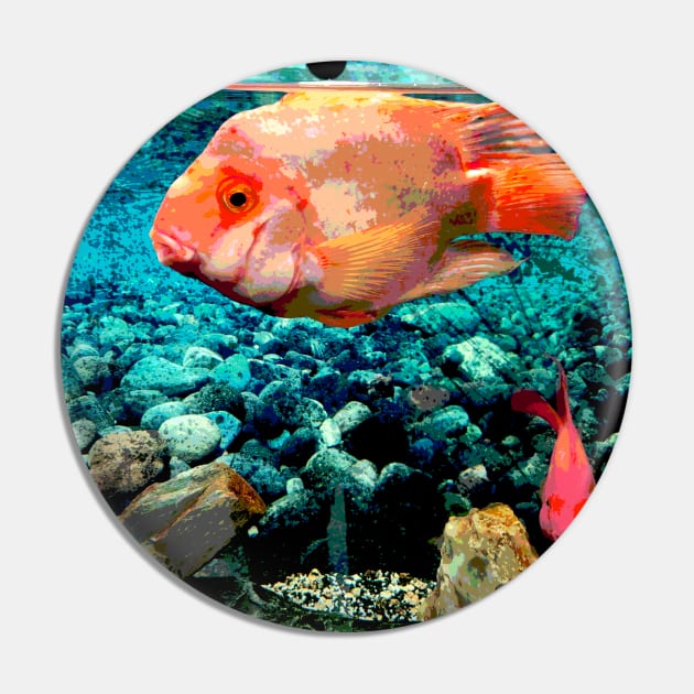 Aquarium Orange Fish Pin by Kikabreu