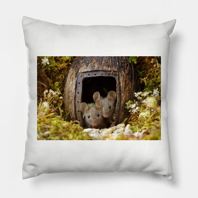 two wild mouse at the  wood pile door Pillow by Simon-dell