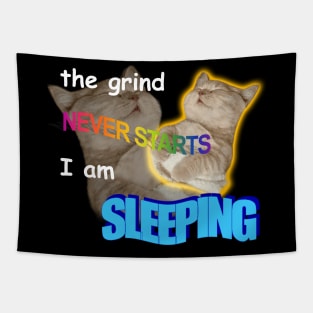 The Grind Never Starts I Am Sleeping Meme Tapestry