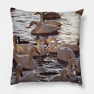 Swan Love Pillow