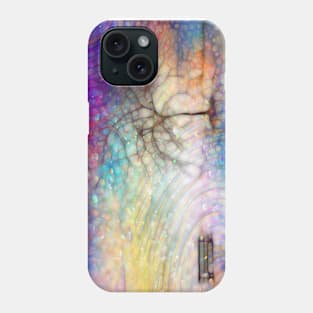 Winter storm park Phone Case