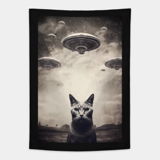 Vintage UFO Cat Tapestry