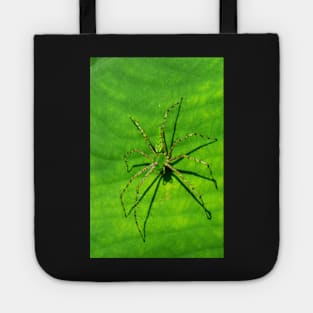 Spider Macro Tote