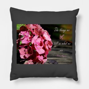 The things we love tell us what we are. Pillow