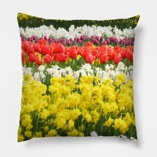 Keukenhof Tulip Festival, Holland Pillow