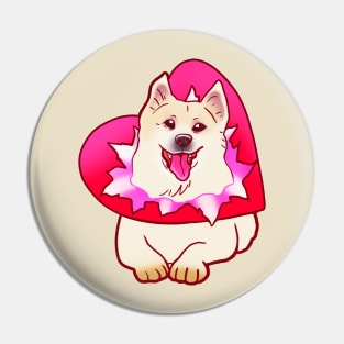 YOUR VALENTINE IS HERE (SHIBA SAMOYED) HEART PRESENT SHIRT Pin