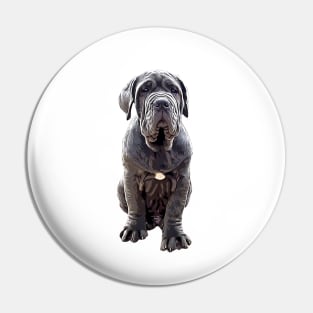 Neapolitan Mastiff - Stunning Dog! Pin