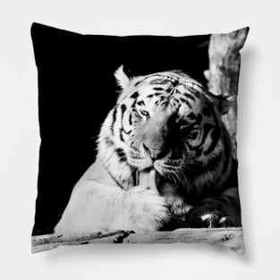 Year of the tiger 2022 / 2 / Swiss Artwork Photography Pillow