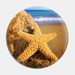 Starfish on Stone Pin