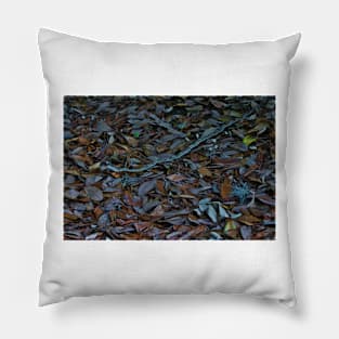 Gray Rat Snake Pillow