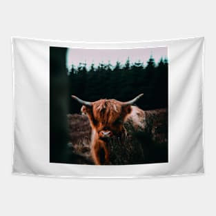 Scottish Highland Cow Cattle Oil Painting Tapestry