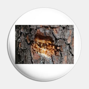 Pine Tree Sap Pin