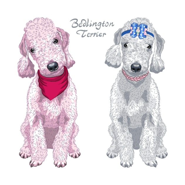 Two dogs Bedlington Terrier by kavalenkava