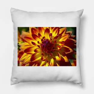 Wonderful Red Yellow Dahlia Close Up Pillow