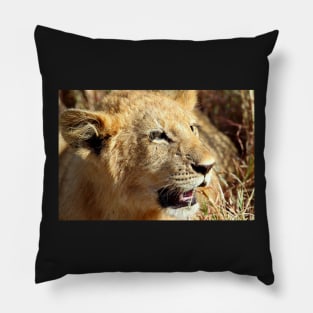 Closeup Lion Cub, Maasai Mara, Kenya Pillow