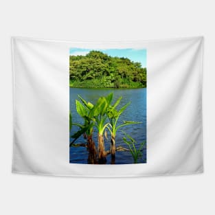 Waokele Pond and Palms Tapestry