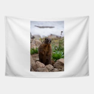 Standing Marmot 2 Tapestry