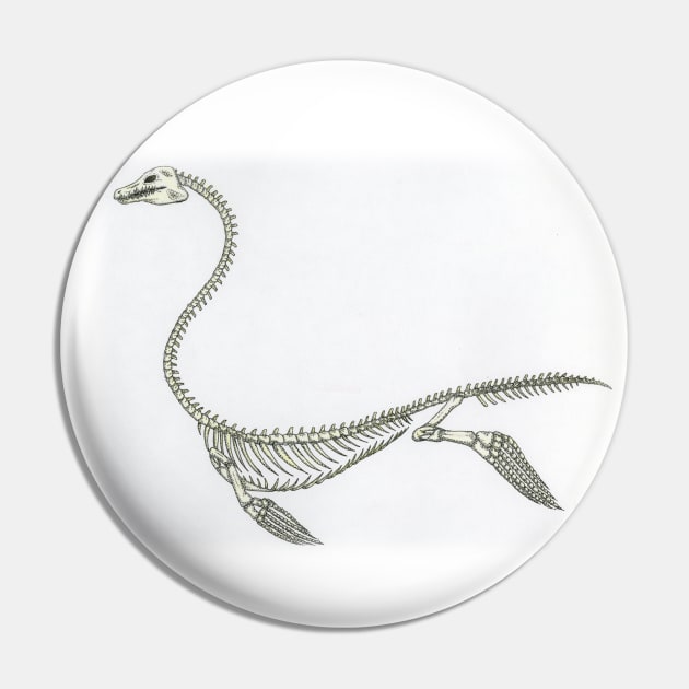 Plesiosaur skelleton Pin by PsychicHuldra