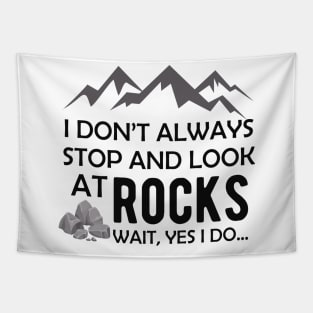 Geologist - I don't always stop and look at rocks.. wait yes I do Tapestry