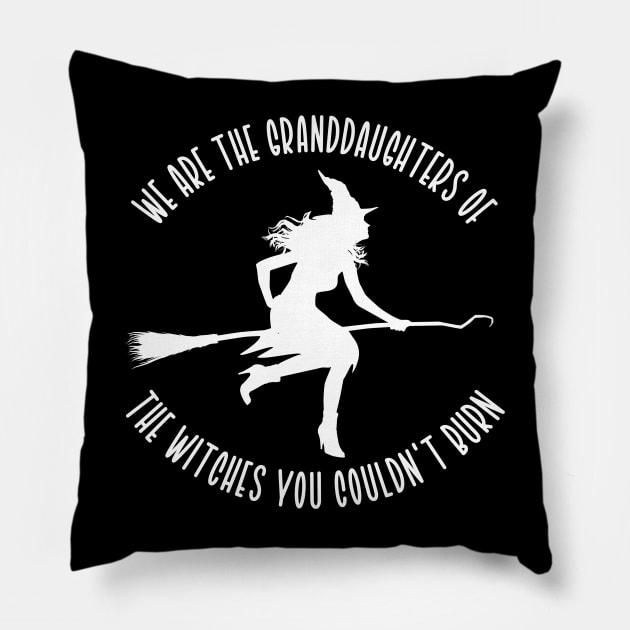 We Are The Granddaughters of the Witches You Couldn't Burn Pillow by KayBee Gift Shop