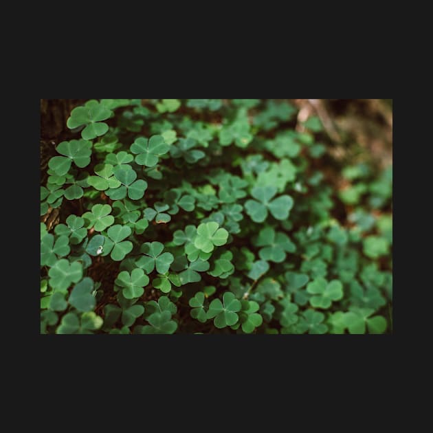 Forest Clovers by Errne