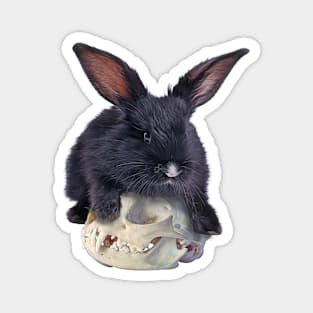 Skull Bunny - Grey Version Magnet