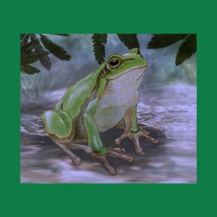 Sitting frog with background T-Shirt